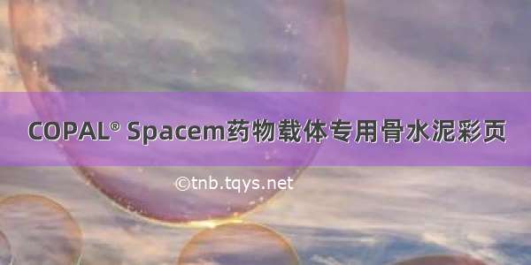 COPAL® Spacem药物载体专用骨水泥彩页