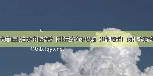 名老中医张士舜中医治疗【非霍奇金淋巴瘤（B细胞型）病】验方验案