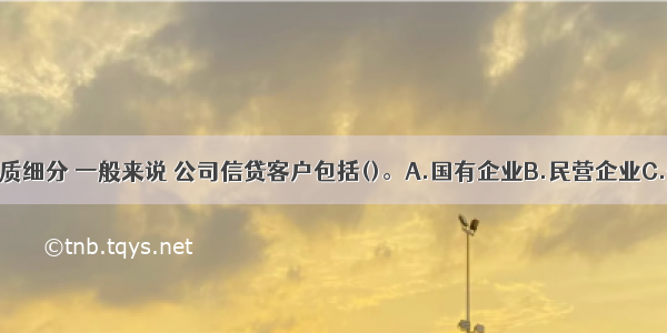 按所有者性质细分 一般来说 公司信贷客户包括()。A.国有企业B.民营企业C.外商独资企