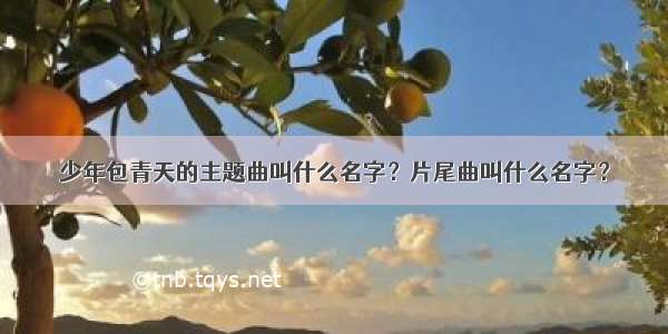 少年包青天的主题曲叫什么名字？片尾曲叫什么名字？