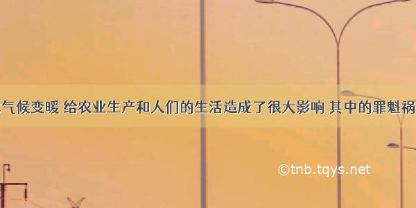 近几年全球气候变暖 给农业生产和人们的生活造成了很大影响 其中的罪魁祸首要归咎于