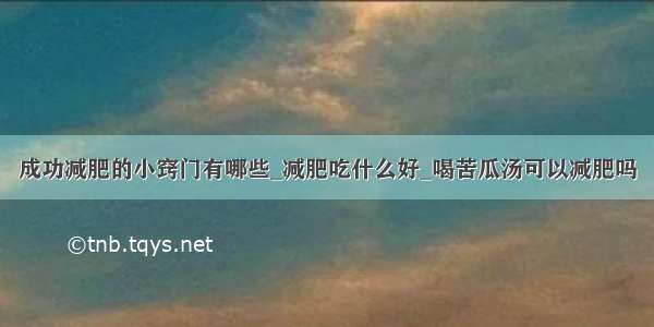 成功减肥的小窍门有哪些_减肥吃什么好_喝苦瓜汤可以减肥吗