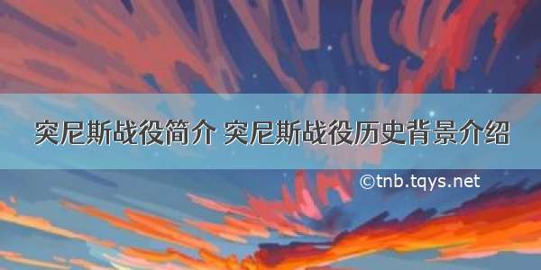 突尼斯战役简介 突尼斯战役历史背景介绍