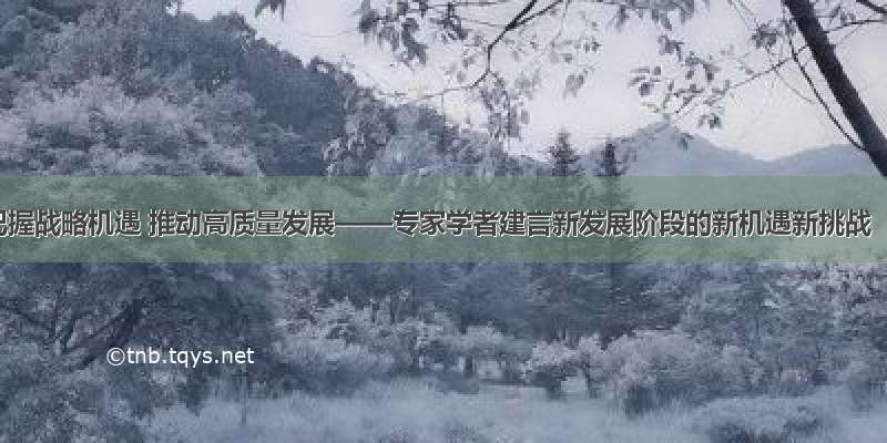 把握战略机遇 推动高质量发展——专家学者建言新发展阶段的新机遇新挑战