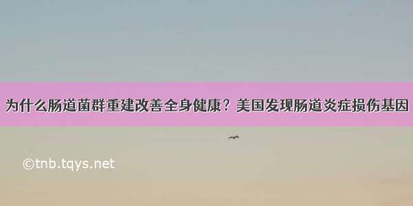 为什么肠道菌群重建改善全身健康？美国发现肠道炎症损伤基因