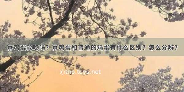 寡鸡蛋能吃吗？寡鸡蛋和普通的鸡蛋有什么区别？怎么分辨？