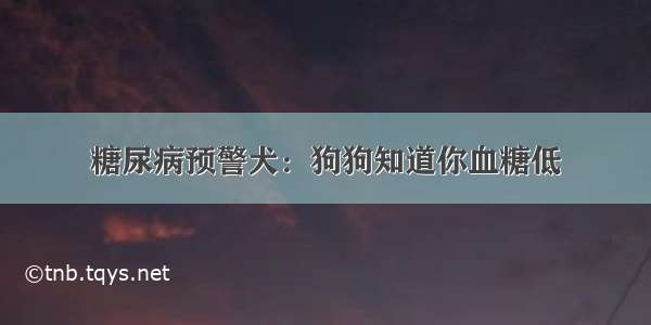 糖尿病预警犬：狗狗知道你血糖低