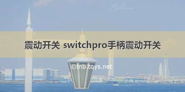 震动开关 switchpro手柄震动开关