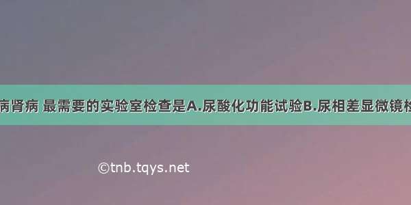 为排除糖尿病肾病 最需要的实验室检查是A.尿酸化功能试验B.尿相差显微镜检C.肌酐清除