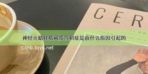 神经元蜡样脂褐质沉积症是由什么原因引起的