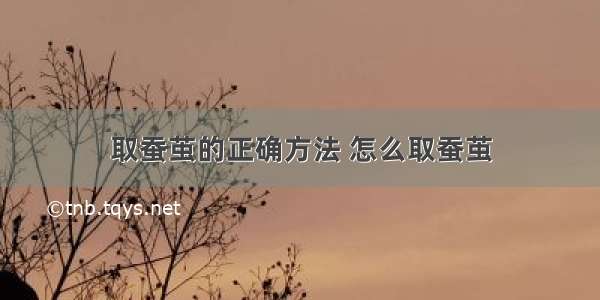 取蚕茧的正确方法 怎么取蚕茧