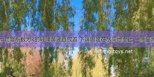 如图甲所示 劲度系数为k的轻弹簧竖直放置 下端固定在水平地面上 一质量为m的小球 