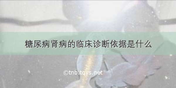 糖尿病肾病的临床诊断依据是什么