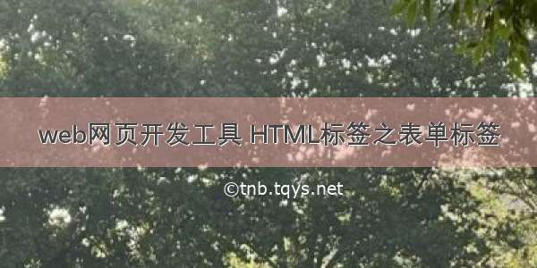 web网页开发工具 HTML标签之表单标签