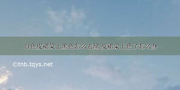 白色皮裙染上黑色怎么去除 皮裙染上色了怎么办