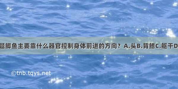 单选题鲫鱼主要靠什么器官控制身体前进的方向？A.头B.背鳍C.躯干D.尾鳍