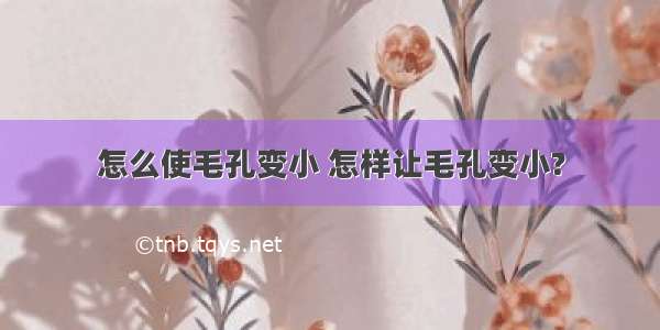 怎么使毛孔变小 怎样让毛孔变小?