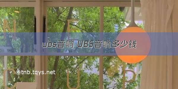 ubs音响 UBS音响多少钱