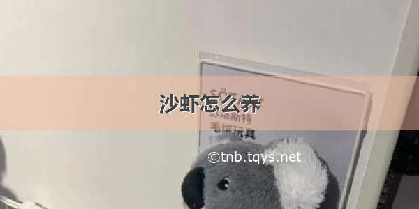 沙虾怎么养