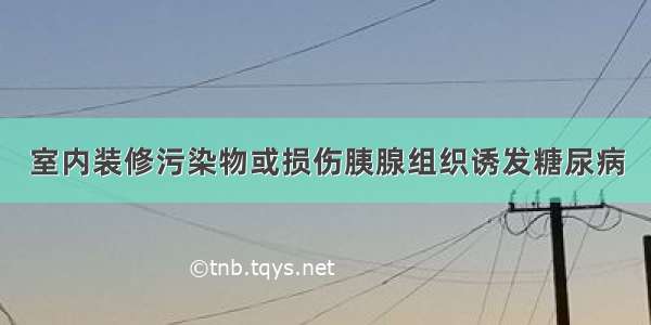 室内装修污染物或损伤胰腺组织诱发糖尿病