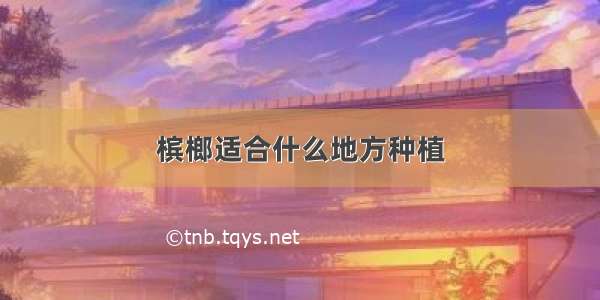 槟榔适合什么地方种植