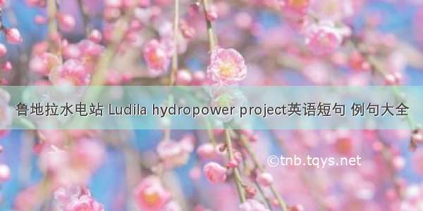 鲁地拉水电站 Ludila hydropower project英语短句 例句大全