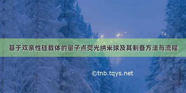 基于双亲性硅载体的量子点荧光纳米球及其制备方法与流程