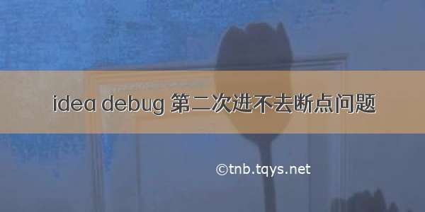 idea debug 第二次进不去断点问题