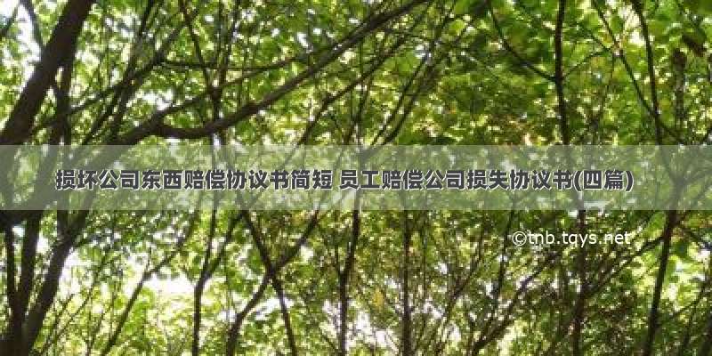 损坏公司东西赔偿协议书简短 员工赔偿公司损失协议书(四篇)