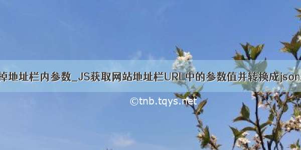 js 去掉地址栏内参数_JS获取网站地址栏URL中的参数值并转换成json对象