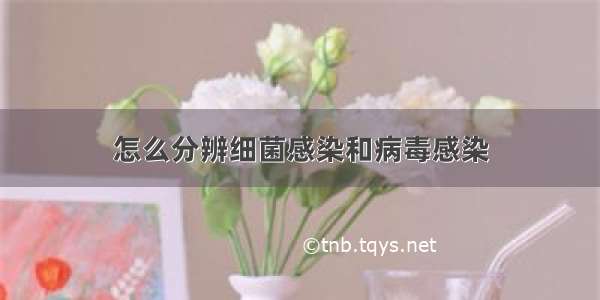 怎么分辨细菌感染和病毒感染