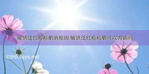 敏感泛红痘痘肌的原因 敏感泛红痘痘肌可以内调吗