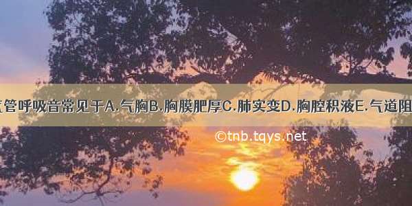 异常性支气管呼吸音常见于A.气胸B.胸膜肥厚C.肺实变D.胸腔积液E.气道阻塞ABCDE