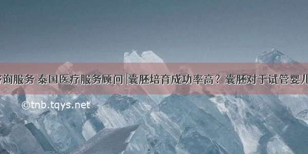 泰国医疗咨询服务 泰国医疗服务顾问 |囊胚培育成功率高？囊胚对于试管婴儿有这4点优