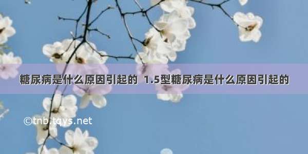 糖尿病是什么原因引起的  1.5型糖尿病是什么原因引起的