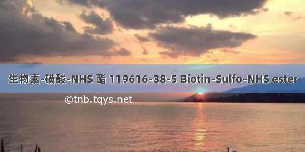 生物素-磺酸-NHS 酯 119616-38-5 Biotin-Sulfo-NHS ester
