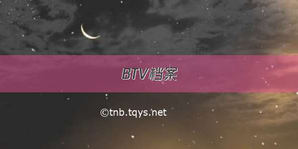 BTV档案