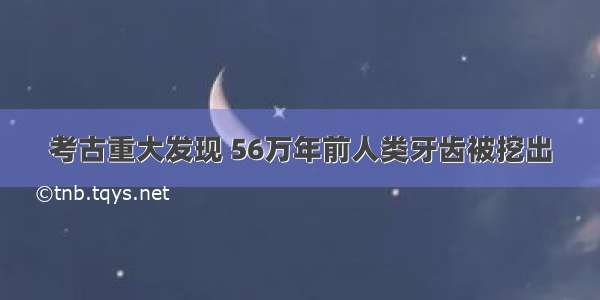 考古重大发现 56万年前人类牙齿被挖出