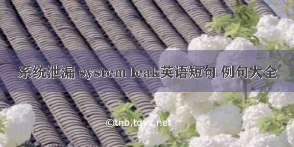 系统泄漏 system leak英语短句 例句大全