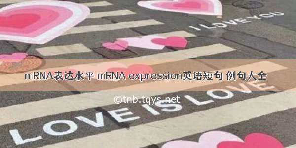 mRNA表达水平 mRNA expression英语短句 例句大全