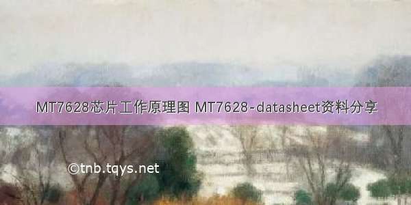 MT7628芯片工作原理图 MT7628-datasheet资料分享