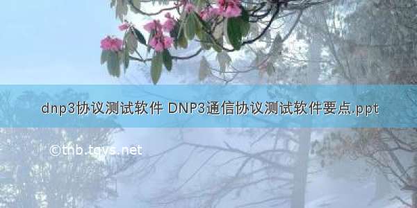 dnp3协议测试软件 DNP3通信协议测试软件要点.ppt