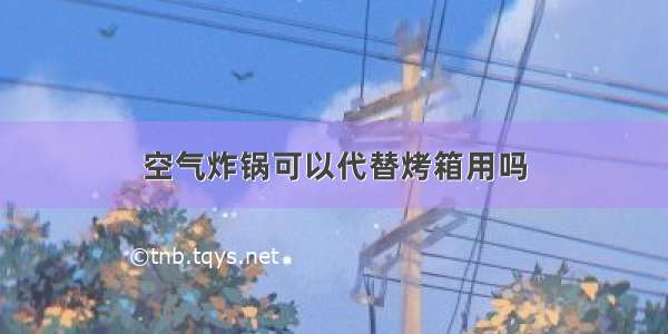 空气炸锅可以代替烤箱用吗