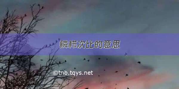 鳞栉次比的意思