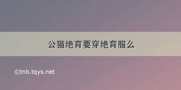 公猫绝育要穿绝育服么