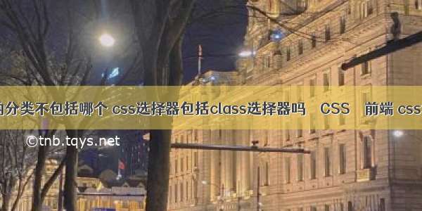 css选择器的分类不包括哪个 css选择器包括class选择器吗 – CSS – 前端 css背景右对齐