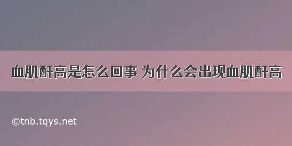 血肌酐高是怎么回事 为什么会出现血肌酐高