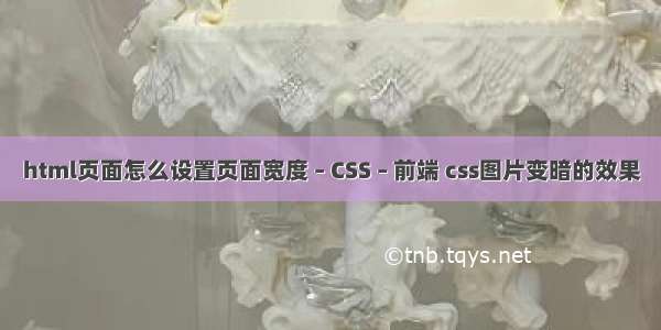 html页面怎么设置页面宽度 – CSS – 前端 css图片变暗的效果