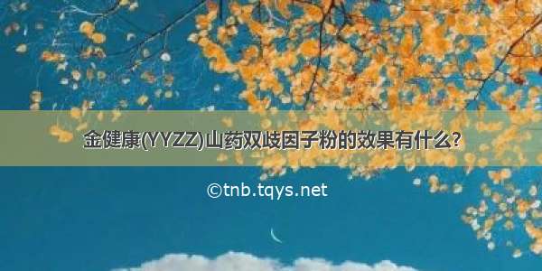 金健康(YYZZ)山药双歧因子粉的效果有什么？