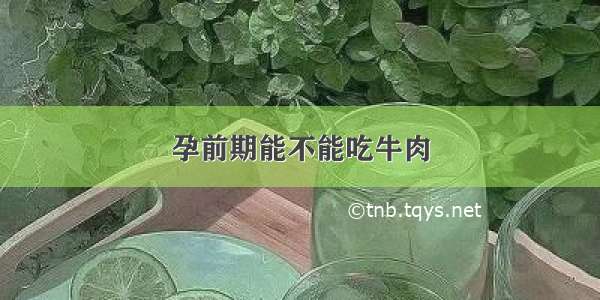 孕前期能不能吃牛肉